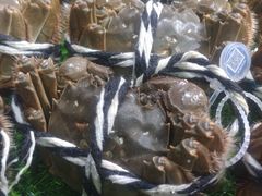 -盒马鲜生(新都心店)