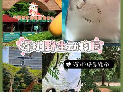 -深圳野生动物园