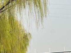 -咸阳湖景区