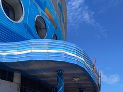 -海合安青岛极地海洋公园