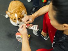 -Stud CrossFit(泰丰大厦店)