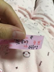 -北京安琪