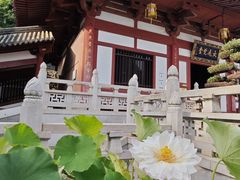 -灵谷景区