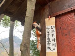 -八卦田遗址公园