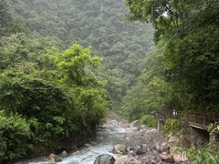 -西岭雪山大飞水景区