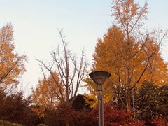 -杭州城北体育公园