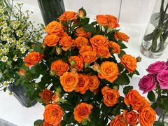 -摩登百货(岗顶店)