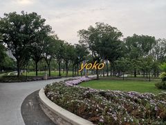 -新江湾城公园