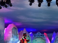 -帝企鹅自助餐厅•儿童岛•真企鹅(长隆企鹅酒店)