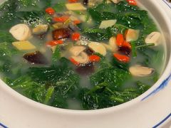 上汤桑叶-新兴·金羊座·粤菜点心(乐峰店)