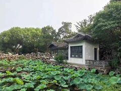 -无锡蠡湖国家湿地公园-蠡园