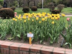 -北海道厅旧本厅舍(旧本庁舎)