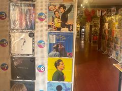 -树懒黑胶唱片店(中山路店)