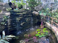 -国家植物园南园