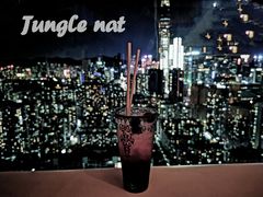 -Jungle Nat 高空餐厅