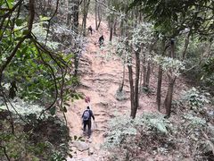 -火炉山森林公园