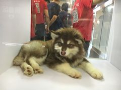 -东浩兰生上海世博展览馆