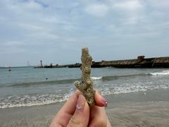 -后海村