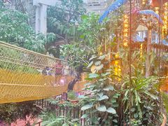 -正佳雨林生态植物园