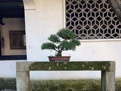 -绍兴鲁迅故里·沈园景区