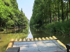 -上海长兴岛郊野公园