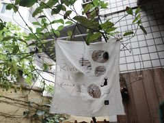 -懒鱼时光馆(沙坪坝店)