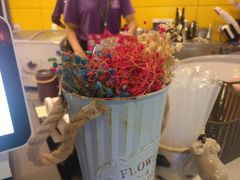 -一只酸奶牛(海南友谊阳光城店)