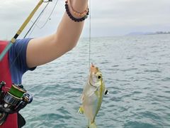 -小猫钓鱼海钓俱乐部(椰梦长廊店)