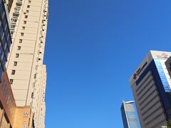 -张家清真糕点(奉天街店)