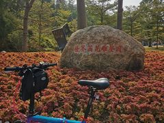 -广东花都湖国家湿地公园
