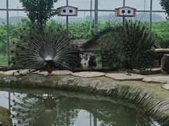 -河北村民俗体验园