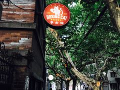 -Boxing Cat Brewery拳击猫精酿啤酒馆(永福店)