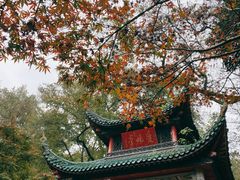-岳麓山风景名胜区