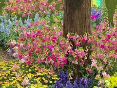 -人民公园(罗湖区)