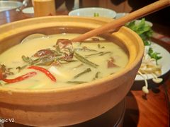 -田小狗的饭店(碧桂园店)