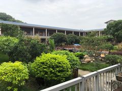 -花果山庄•现烤荔枝柴烧鹅