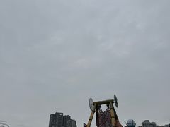-海合安成都极地海洋公园