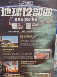 -飞览天下沉浸式飞行体验(北京旗舰店)