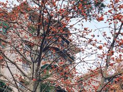 -洲头咀公园