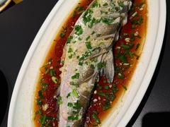 -魚當家