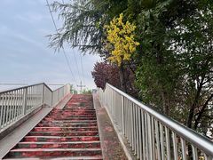 -汉长安城未央宫国家考古遗址公园