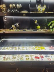 -鼎极摄影(世纪金源店)