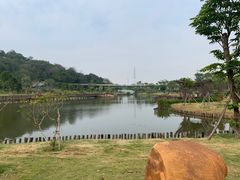 -王借岗森林公园