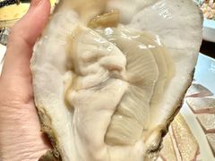 -揽季锅物会.福建黄鱼.海鲜姿造(五四路店)