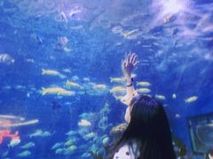 -大明湖海底世界