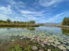 -野鸭湖国家湿地公园