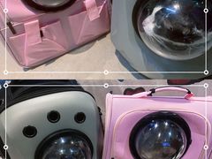 -御宝贝·A梦猫科宠物医院(国际猫友好医院)