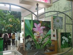 -北京中医药大学-中医药博物馆