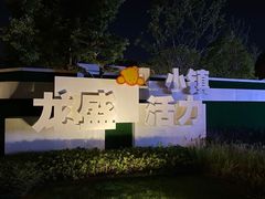 -龙盛活力小镇