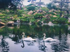 -罗红摄影艺术馆